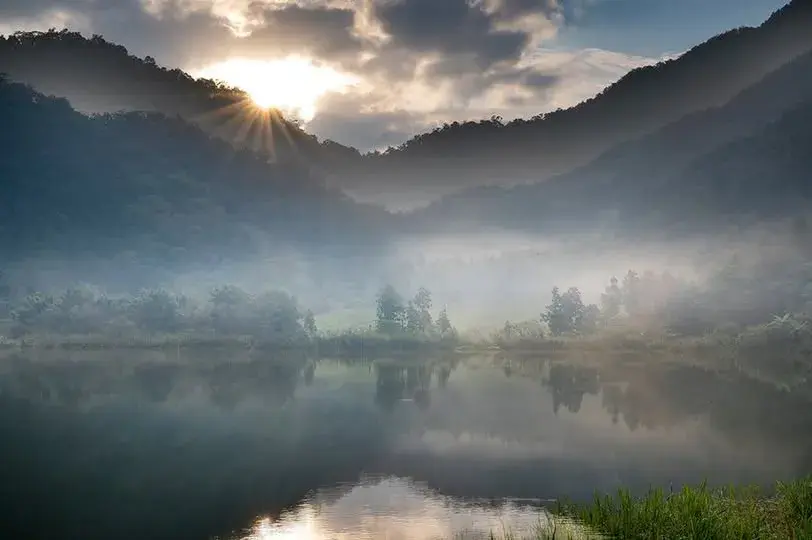 濕地浮島草毯
